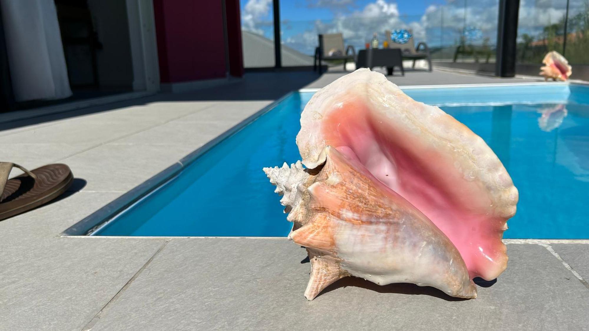 La Villa Jalna Grenadine Deux Chambres Et Piscine Privee Les Trois-Ilets Kültér fotó