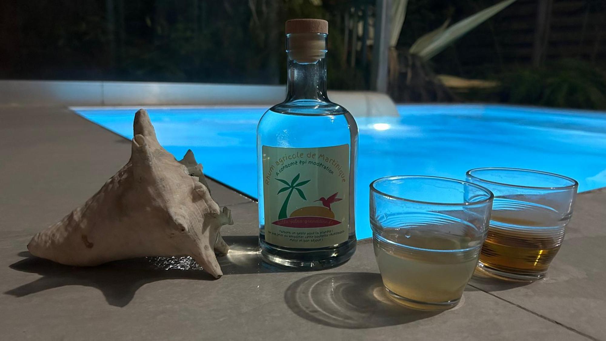 La Villa Jalna Grenadine Deux Chambres Et Piscine Privee Les Trois-Ilets Kültér fotó